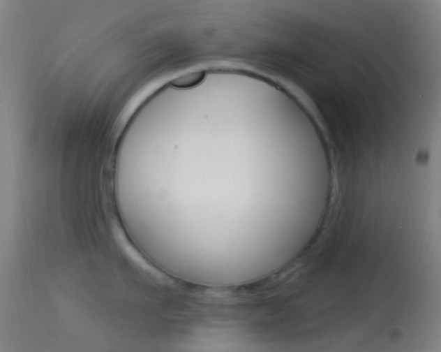 X0000114670911200910211006
