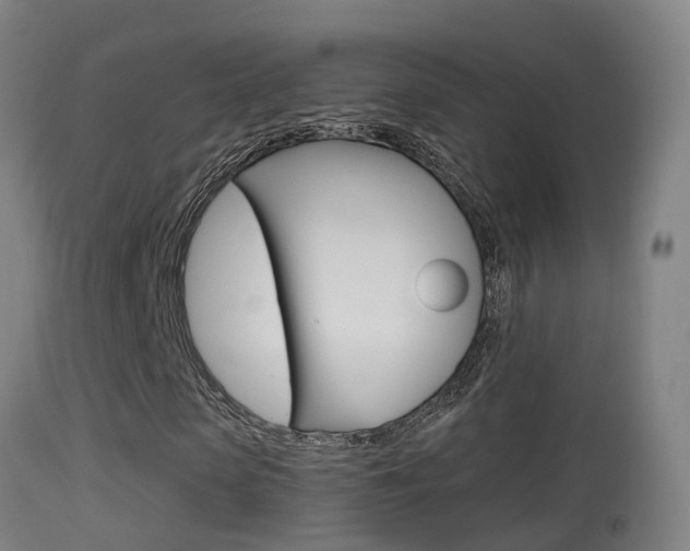 X0000114670913200910211005