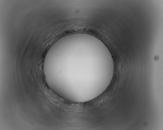 X0000114670914200910211005