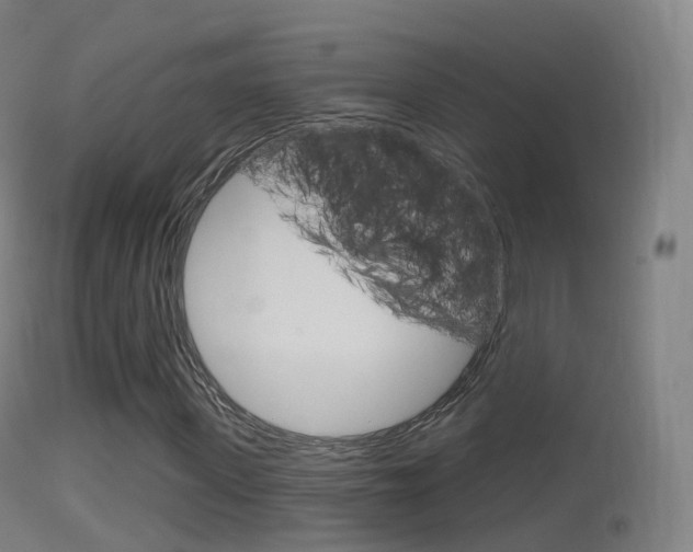 X0000114670915200910211005