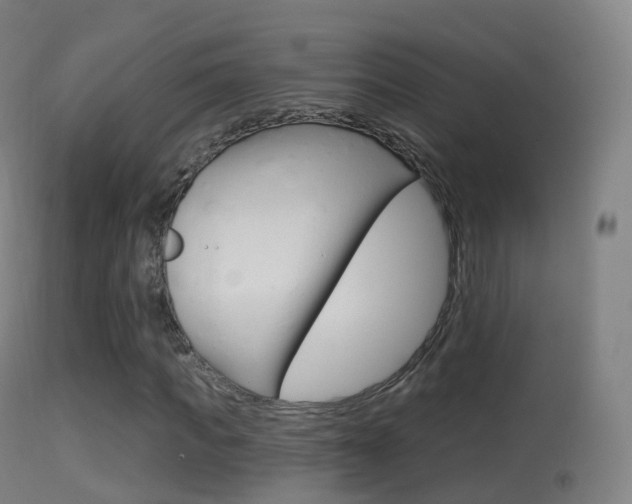 X0000114670917200910211005