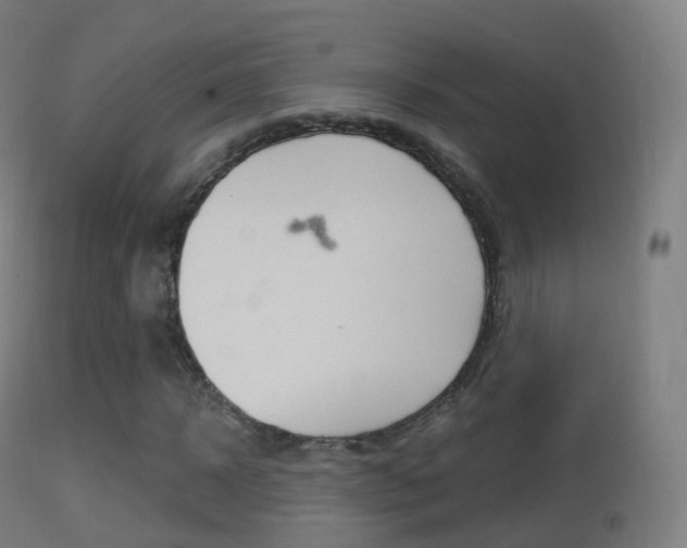 X0000114670918200910211005