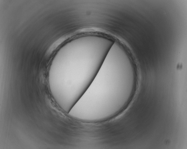 X0000114670921200910211005