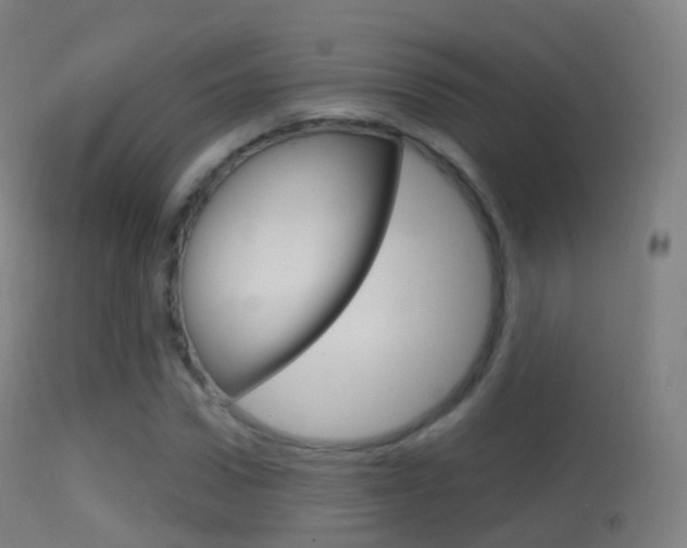 X0000114670922200910211005