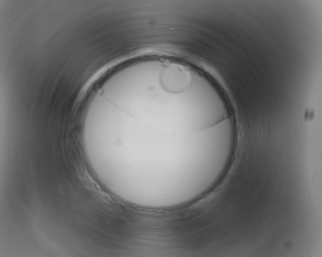 X0000114670923200910211005
