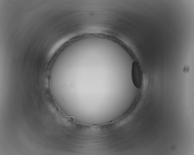 X0000114670925200910211005