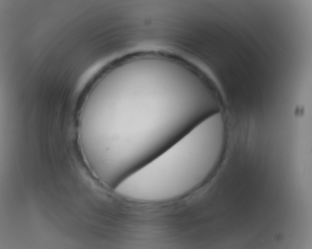 X0000114670927200910211005