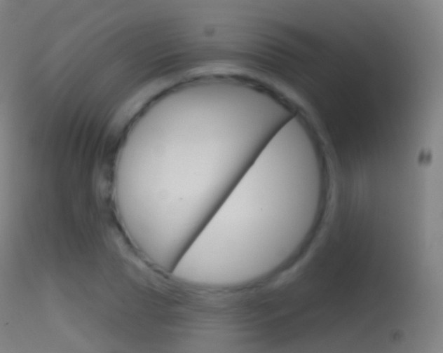 X0000114670929200910211005