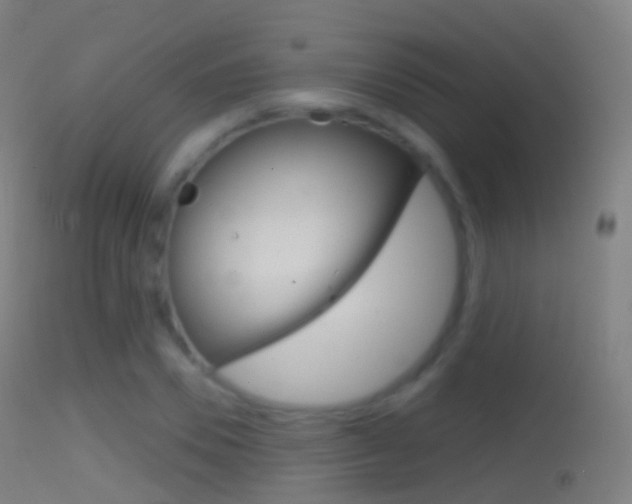 X0000114670930200910211005