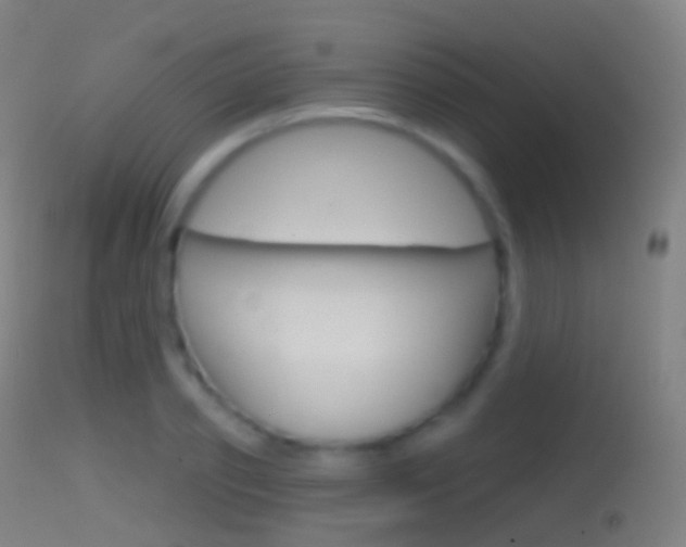 X0000114670933200910211005