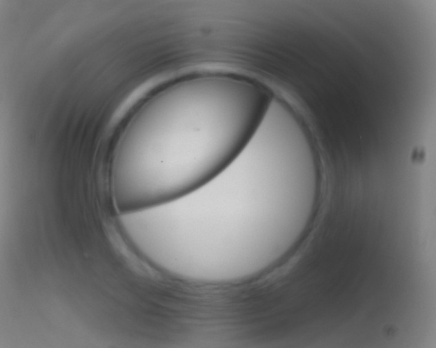 X0000114670934200910211005