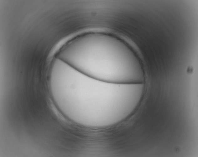 X0000114670935200910211005