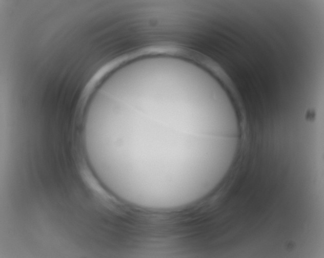 X0000114670939200910211006
