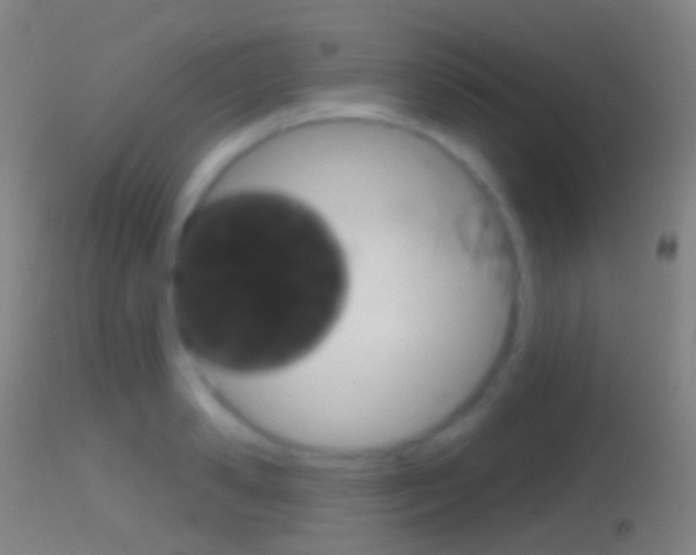 X0000114670941200910211006