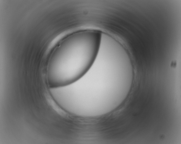 X0000114670942200910211006
