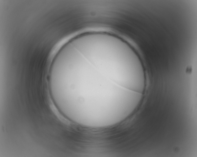 X0000114670943200910211006
