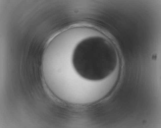 X0000114670945200910211006