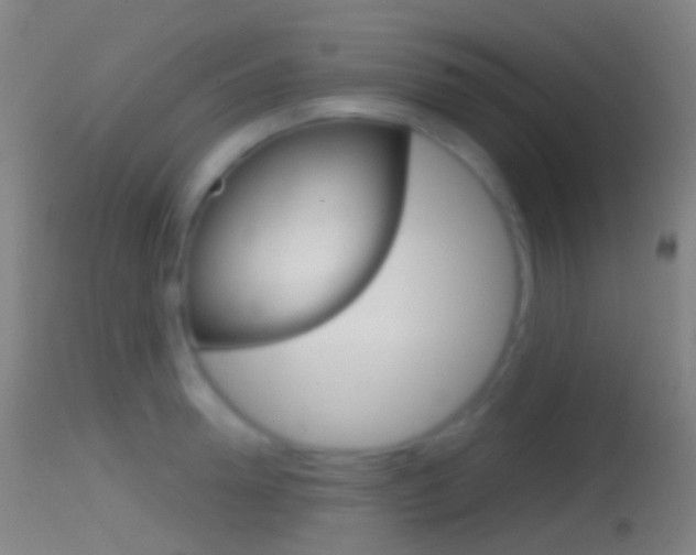 X0000114670946200910211006