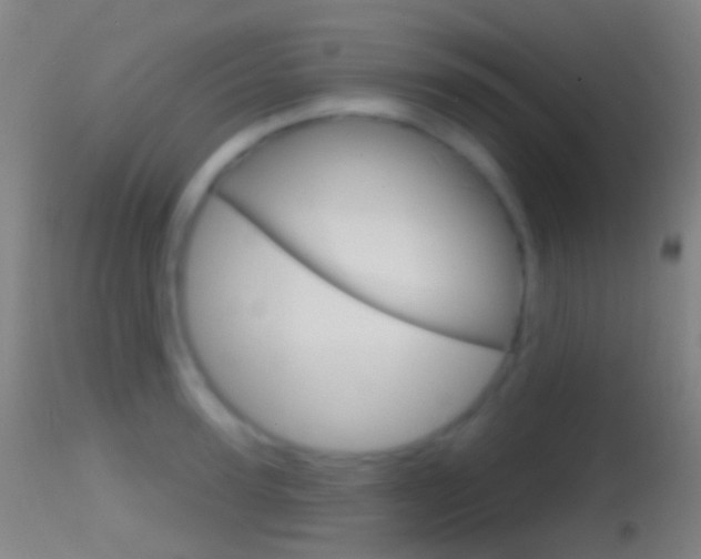 X0000114670947200910211006
