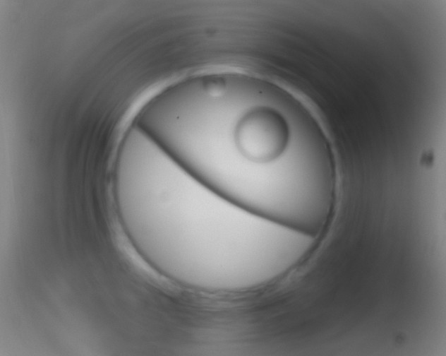 X0000114670949200910211006