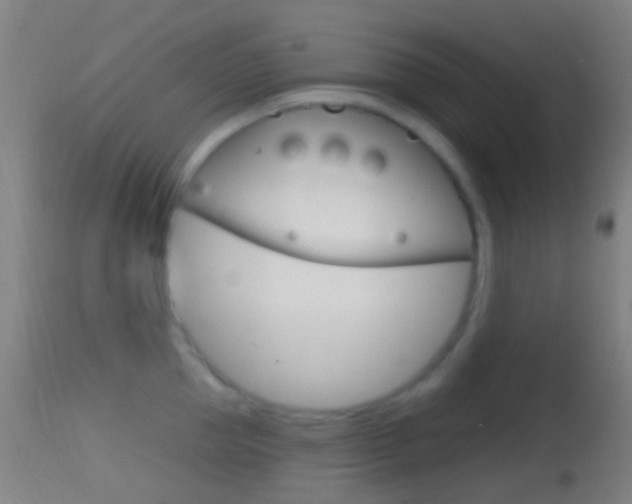 X0000114670953200910211006