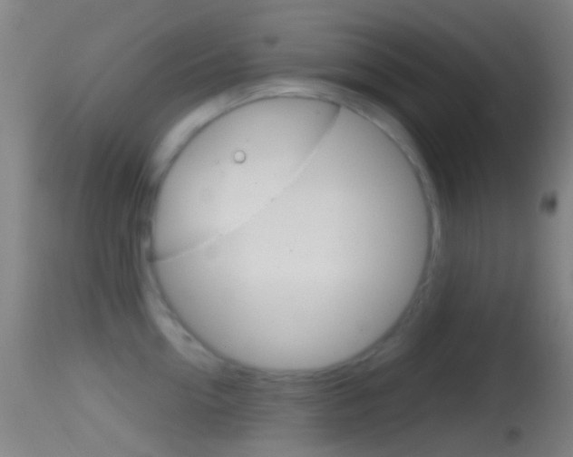 X0000114670954200910211006