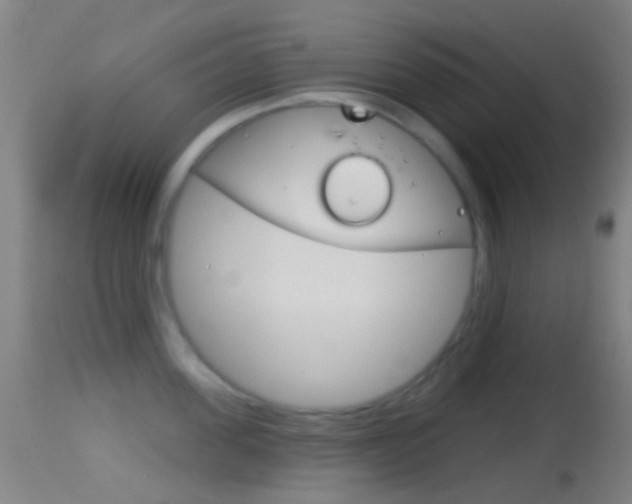 X0000114670955200910211006