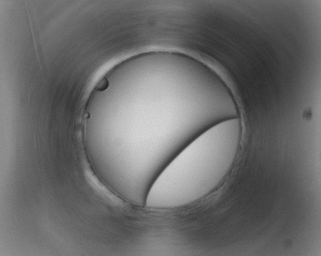 X0000114670958200910211006