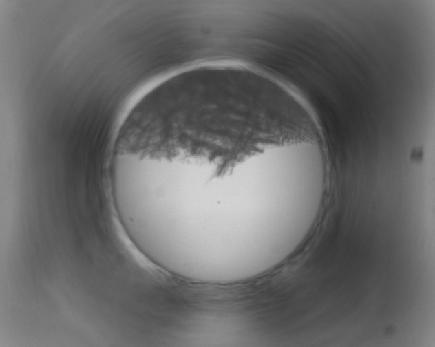 X0000114670959200910211006