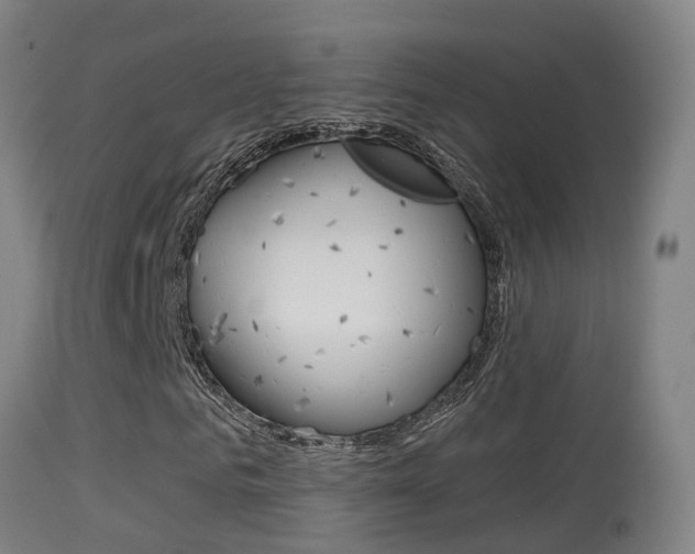 X0000114670961200910211005