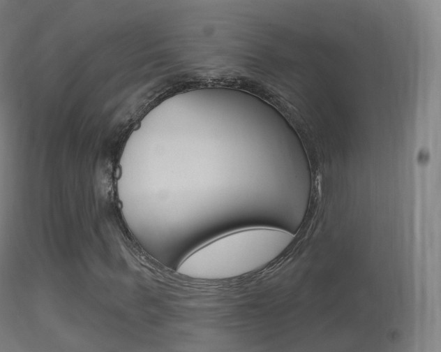 X0000114670963200910211005