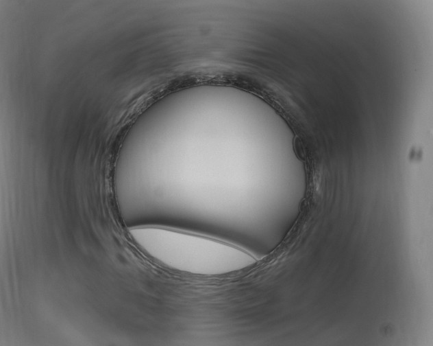 X0000114670964200910211005