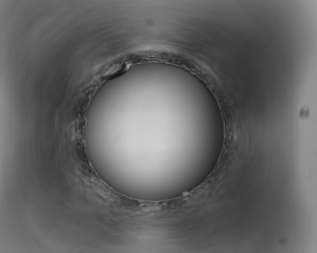 X0000114670965200910211005