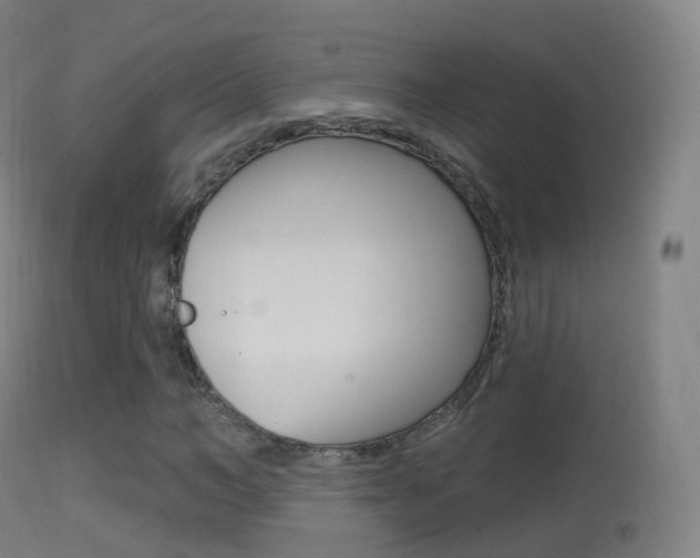X0000114670966200910211005