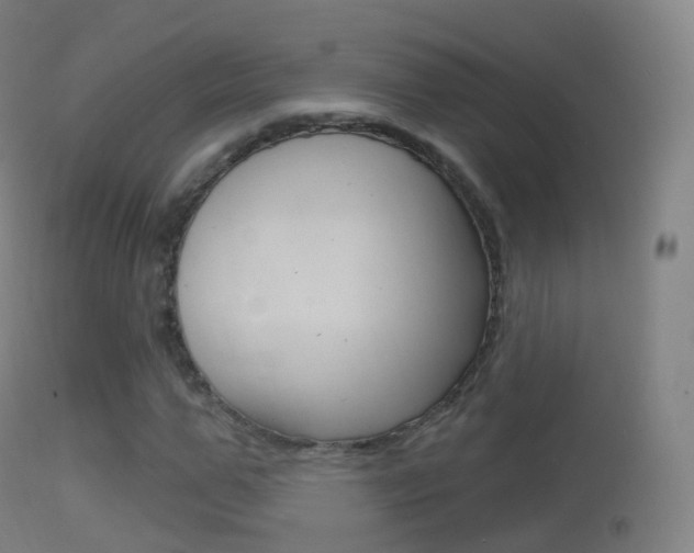 X0000114670967200910211005