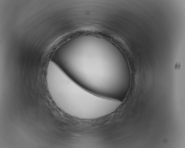 X0000114670968200910211005