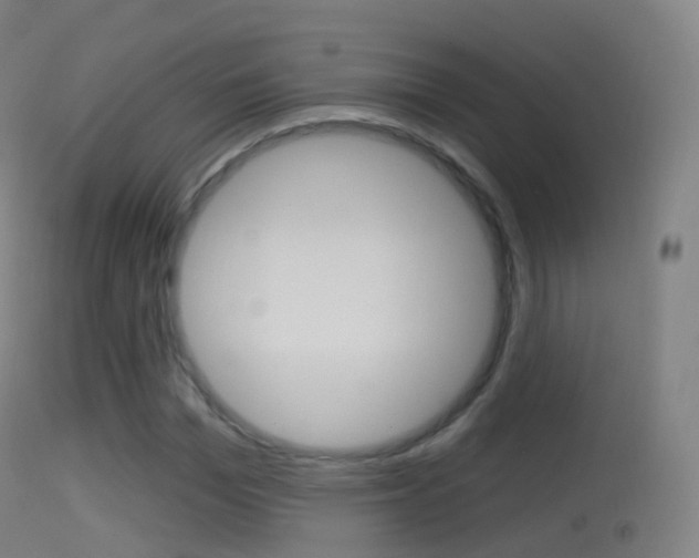 X0000114670969200910211005