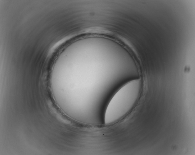 X0000114670971200910211005