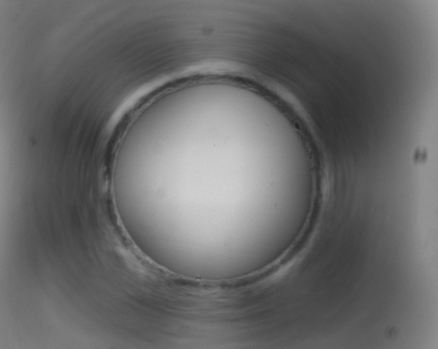 X0000114670973200910211005