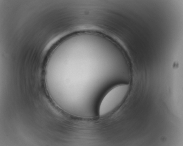 X0000114670975200910211005