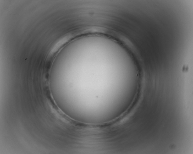 X0000114670977200910211005