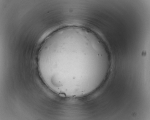 X0000114670978200910211005