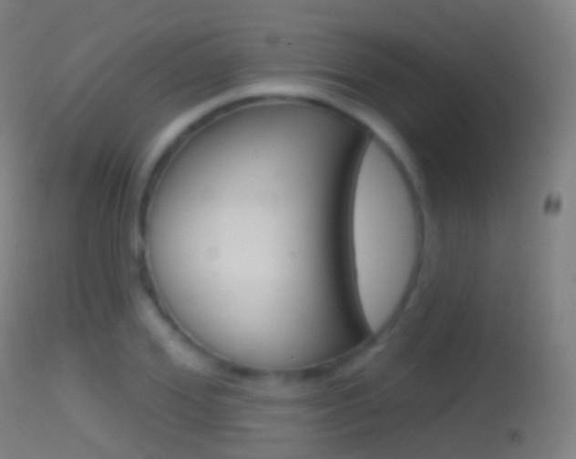 X0000114670980200910211005