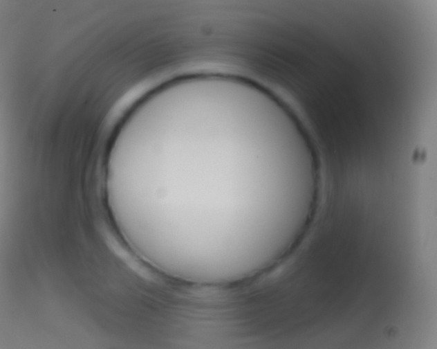 X0000114670982200910211005