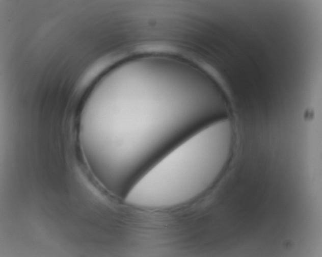 X0000114670983200910211005