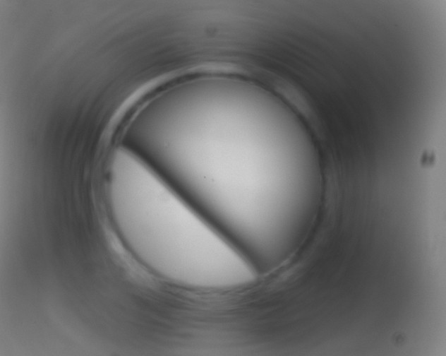 X0000114670984200910211005