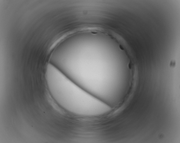 X0000114670985200910211005