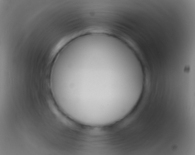 X0000114670986200910211005