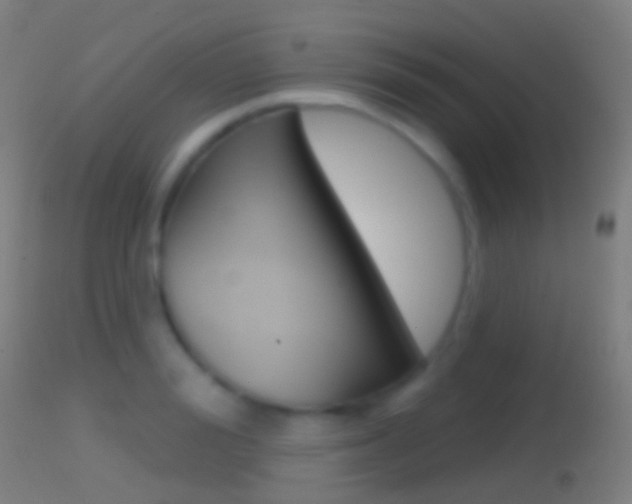 X0000114670988200910211005