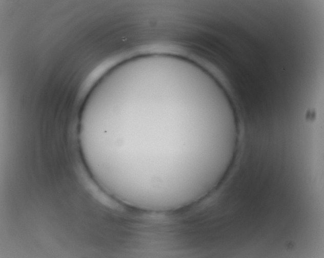 X0000114670990200910211005
